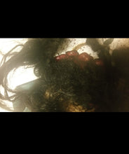 Load image into Gallery viewer, HAIR***Precious Petals Organic Hair Growth Oil 1 oz, 2 oz, & 4 oz Bottles (Regular & Extra Strength)