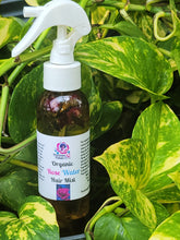 Load image into Gallery viewer, HAIR***Organic Rose Water Hair Mist 4 oz
